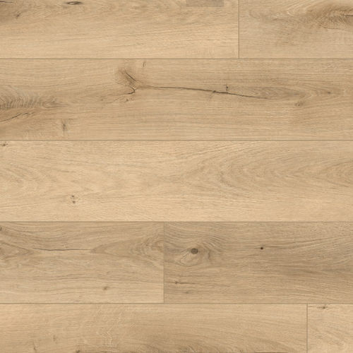 Disco the ハッスル/minx GNU Danny Kass MTX Vertigo Snowboard 2008 | evo Canada