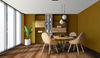 Fuzion (NROAK220GLE) room_scene