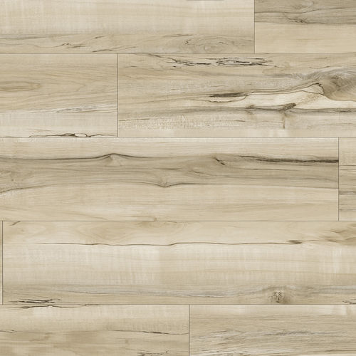 91a5e199-6eea-11ee-8a43-