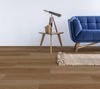 Fuzion (VSE0826) room_scene