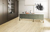 Fuzion (VSE9020) room_scene