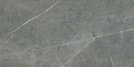 Floor Tiles Altamura Grey Matte 12" x 24"