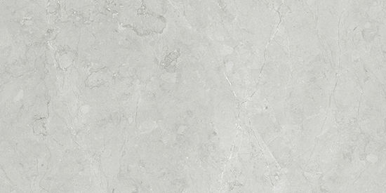 Floor Tiles Altamura Silver Matte 12" x 24"