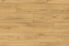 Torlys (QS-UM5801) color