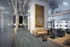 Torlys (TL-AV234-PEFC) room_scene