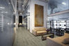 Torlys (TL-30507-PEFC) room_scene