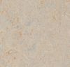 Forbo (83020) product