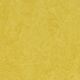 Gym Flooring Marmoleum Sport Yellow 79" (Sold in Sqyd)