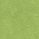 Gym Flooring Marmoleum Sport Green 79" (Sold in Sqyd)