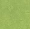 Forbo (83285) product