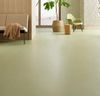 Forbo (246248) room_scene