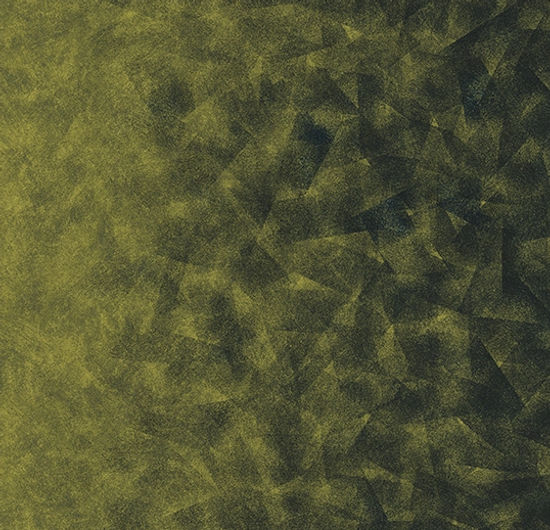Flotex en rouleau par Starck Artist Emerald / Chartreuse B2 79" x 98.4'