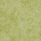 Flotex Roll Calgary Lime 79" (Sold in Sqyd)