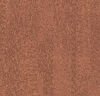 Forbo (FLPNT382019-2020) product