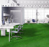 Forbo (FLVS000369) room_scene