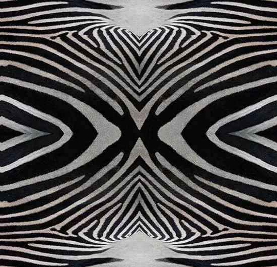 Flotex Roll Vision Zebra 79" x 98.4'