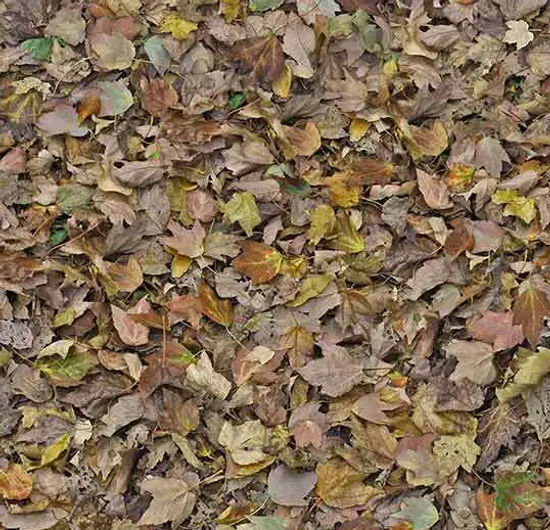 Flotex Roll Vision Autumn Leaves - Green 79" x 98.4'