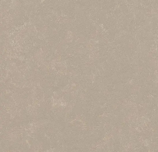 Marmoleum Roll Concrete Fossil 6.58' - 2.5 mm (Sold in Sqyd)