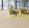 Forbo (MACC3729) room_scene
