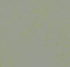 Forbo (MACC3736) product