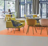 Forbo (MACC3738) room_scene