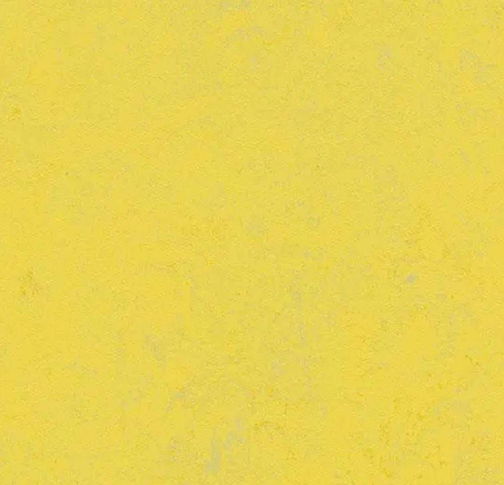 Forbo Marmoleum Roll Concrete Yellow Glow 6.58' - 2.5 mm (Sold in Sqyd ...
