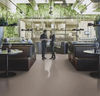 Forbo (MACO3580) room_scene