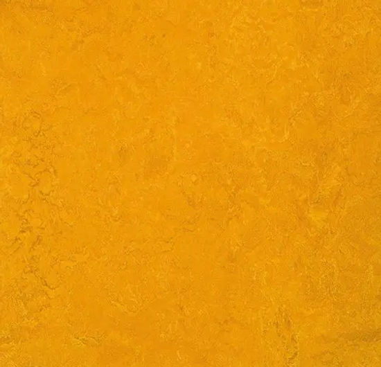 Marmoleum Roll Fresco Golden Sunset 6.58' - 2.5 mm (Sold in Sqyd)