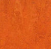 Forbo (MAFR3126) product