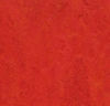 Forbo (MAFR3131) product