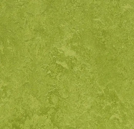 Rouleau de marmoléum Fresco Green 6.58' - 2.5 mm (vendu en vg²)