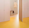 Forbo (MAFR3251) room_scene