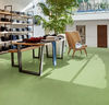 Forbo (MAFR3260) room_scene