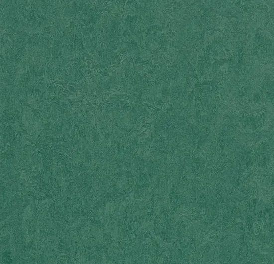 Rouleau de marmoléum Fresco Hunter Green 6.58' - 2.5 mm (vendu en vg²)