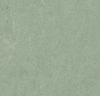 Forbo (MAFR3891) product