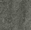 Forbo (MAMOT3048-2020) product