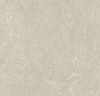 Forbo (MAMOT3136-1010) product