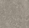 Forbo (MAMOT3146-2020) product