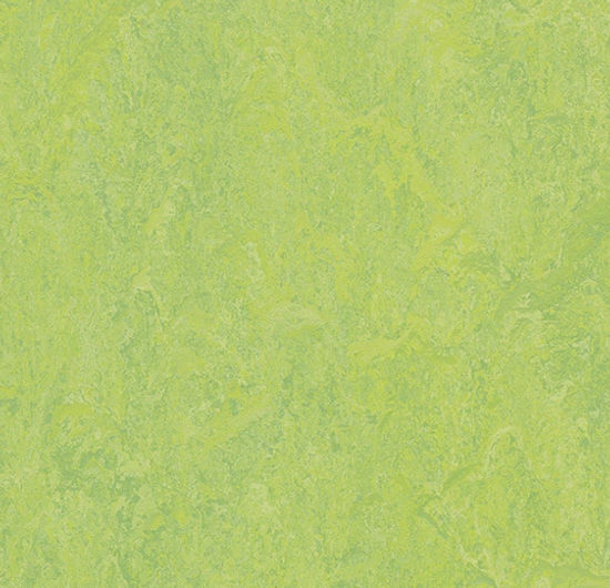 Tuiles de marmoléum Modular Refreshing Green 9-13/16" x 9-13/16"