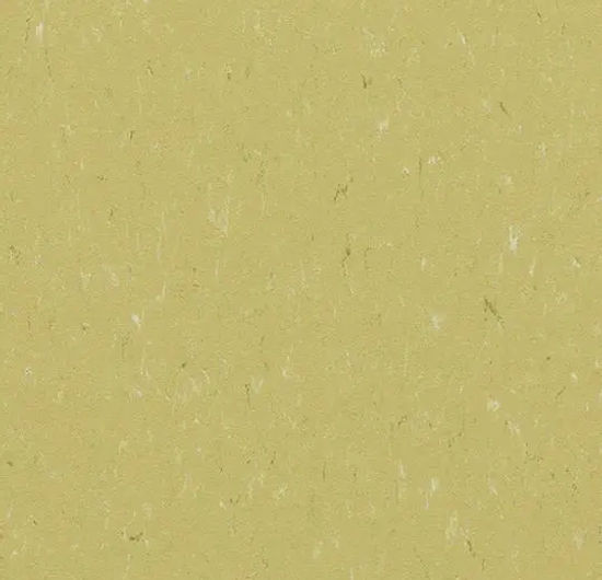 Marmoleum Roll Piano Meadow 6.58' - 2.5 mm (Sold in Sqyd)