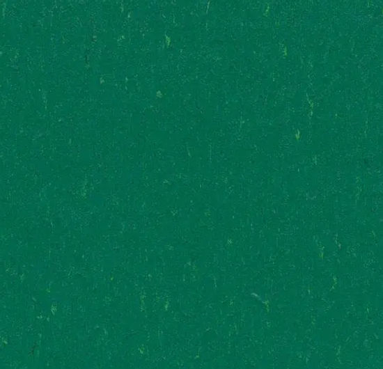 Marmoleum Roll Piano Greenwood 6.58' - 2.5 mm (Sold in Sqyd)