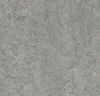Forbo (MARE3146) product