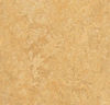Forbo (MARE3173) product