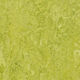 Marmoleum Roll Marbled Real Chartreuse 6' 6" - 2.5 mm (Sold in Sqyd)