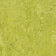 Marmoleum Roll Real Chartreuse 6.58' - 2.5 mm (Sold in Sqyd)