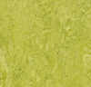 Forbo (MARE3224) product