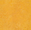Forbo (MARE3225) product
