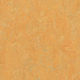 Marmoleum Roll Marbled Real Golden Saffron 6' 6" - 2.5 mm (Sold in Sqyd)