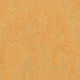 Marmoleum Roll Real Golden Saffron 6.58' - 2.5 mm (Sold in Sqyd)