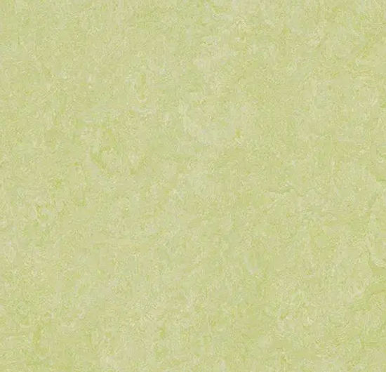 Marmoleum Roll Real Green Wellness 6.58' - 2.5 mm (Sold in Sqyd)